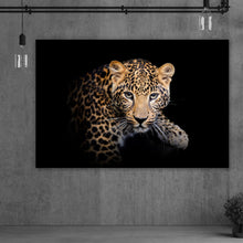 Lade das Bild in den Galerie-Viewer, Aluminiumbild gebürstet Leopard auf schwarzem Hintergrund Querformat
