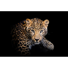 Lade das Bild in den Galerie-Viewer, Aluminiumbild gebürstet Leopard auf schwarzem Hintergrund Querformat
