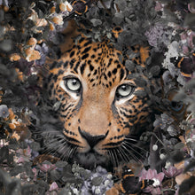Lade das Bild in den Galerie-Viewer, Aluminiumbild Leopard im Blütenwald Quadrat
