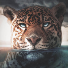 Lade das Bild in den Galerie-Viewer, Poster Leopard unter Wasser Quadrat
