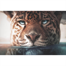 Lade das Bild in den Galerie-Viewer, Aluminiumbild gebürstet Leopard unter Wasser Querformat
