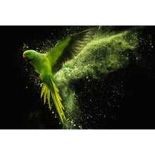 Lade das Bild in den Galerie-Viewer, Spannrahmenbild Grüner Papagei Querformat
