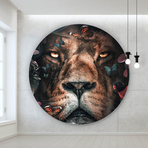 Aluminiumbild gebürstet Löwe im Paradies des Dschungels Kreis