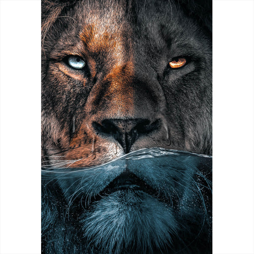 Leinwandbild Löwe unter Wasser Hochformat