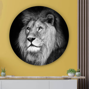 Aluminiumbild gebürstet Löwen Portrait schwarz weiß Kreis
