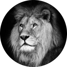 Lade das Bild in den Galerie-Viewer, Aluminiumbild Löwen Portrait schwarz weiß Kreis
