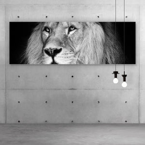 Spannrahmenbild Löwen Portrait schwarz weiß Panorama