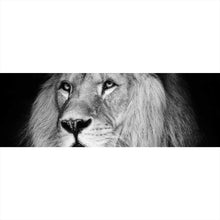 Lade das Bild in den Galerie-Viewer, Poster Löwen Portrait schwarz weiß Panorama
