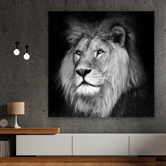 Leinwandbild Löwen Portrait schwarz weiß Quadrat