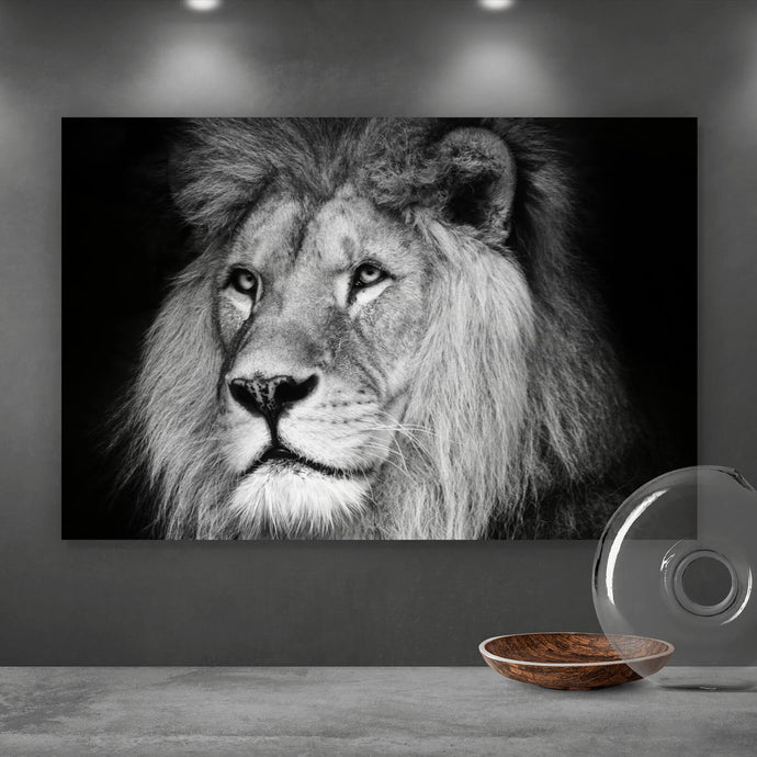 Wandbilder Löwen Wandguru –