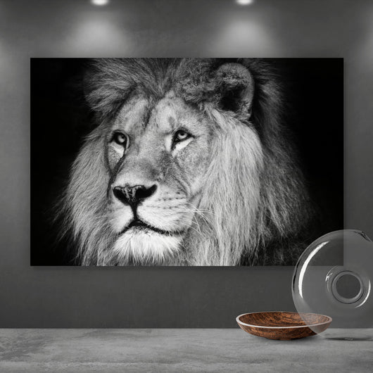 Aluminiumbild gebürstet Löwen Portrait schwarz weiß Querformat