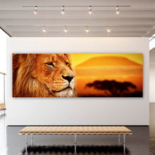 Lade das Bild in den Galerie-Viewer, Aluminiumbild Löwenportrait bei Sonnenuntergang Panorama
