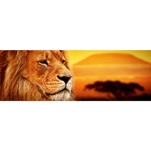 Lade das Bild in den Galerie-Viewer, Aluminiumbild gebürstet Löwenportrait bei Sonnenuntergang Panorama
