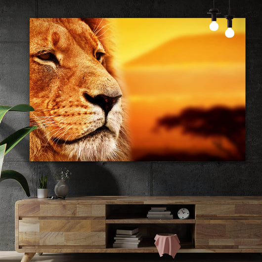 Aluminiumbild gebürstet Löwenportrait bei Sonnenuntergang Querformat