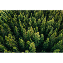 Lade das Bild in den Galerie-Viewer, Acrylglasbild Luftaufnahme Wald in Finnland Querformat

