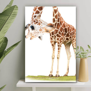Aluminiumbild gebürstet Lustige Giraffe Hochformat