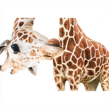 Lade das Bild in den Galerie-Viewer, Leinwandbild Lustige Giraffe Querformat
