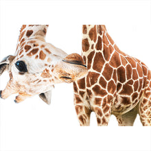 Lade das Bild in den Galerie-Viewer, Spannrahmenbild Lustige Giraffe Querformat
