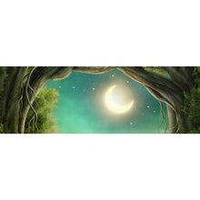 Lade das Bild in den Galerie-Viewer, Leinwandbild Märchenwald im Mondlicht Panorama
