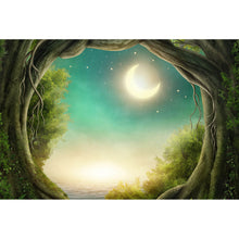 Lade das Bild in den Galerie-Viewer, Poster Märchenwald im Mondlicht Querformat
