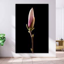 Lade das Bild in den Galerie-Viewer, Aluminiumbild Magnolienblume auf schwarzem Hintergrund Hochformat
