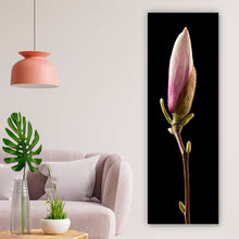 Lade das Bild in den Galerie-Viewer, Aluminiumbild gebürstet Magnolienblume auf schwarzem Hintergrund Panorama Hoch
