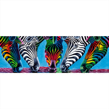 Lade das Bild in den Galerie-Viewer, Aluminiumbild gebürstet Malerei Bunte Zebras Panorama
