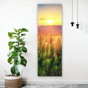 Aluminiumbild Malerischer Sonnenuntergang über den Wäldern Panorama Hoch