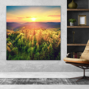 Aluminiumbild gebürstet Malerischer Sonnenuntergang über den Wäldern Quadrat
