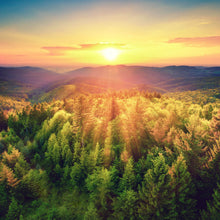 Lade das Bild in den Galerie-Viewer, Acrylglasbild Malerischer Sonnenuntergang über den Wäldern Quadrat
