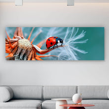 Lade das Bild in den Galerie-Viewer, Spannrahmenbild Marienkäfer auf Pusteblume Panorama
