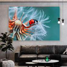 Lade das Bild in den Galerie-Viewer, Spannrahmenbild Marienkäfer auf Pusteblume Querformat
