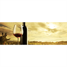 Lade das Bild in den Galerie-Viewer, Acrylglasbild Mediterrane Weinreben im Sonnenuntergang Panorama
