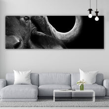Lade das Bild in den Galerie-Viewer, Poster Nahaufnahme eines afrikanischen Büffels Panorama
