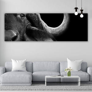 Acrylglasbild Nahaufnahme eines afrikanischen Büffels Panorama