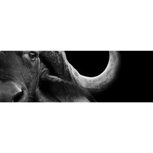 Lade das Bild in den Galerie-Viewer, Poster Nahaufnahme eines afrikanischen Büffels Panorama
