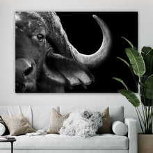 Lade das Bild in den Galerie-Viewer, Acrylglasbild Nahaufnahme eines afrikanischen Büffels Querformat
