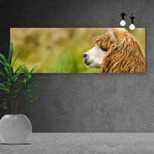 Lade das Bild in den Galerie-Viewer, Leinwandbild Nahaufnahme eines Alpaka Panorama
