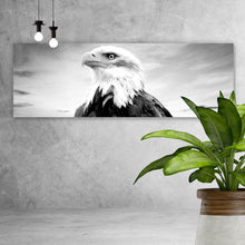 Lade das Bild in den Galerie-Viewer, Leinwandbild Nahaufnahme eines Weißkopfseeadlers Panorama
