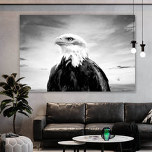 Lade das Bild in den Galerie-Viewer, Poster Nahaufnahme eines Weißkopfseeadlers Querformat
