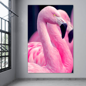 Spannrahmenbild Pinke Flamingos Hochformat