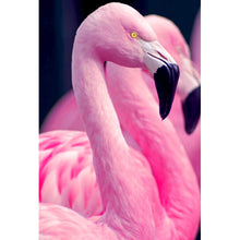 Lade das Bild in den Galerie-Viewer, Aluminiumbild gebürstet Pinke Flamingos Hochformat
