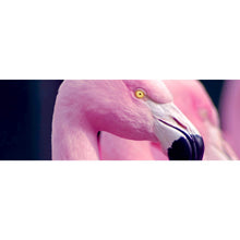 Lade das Bild in den Galerie-Viewer, Aluminiumbild Pinke Flamingos Panorama
