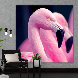 Aluminiumbild Pinke Flamingos Quadrat