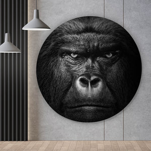 Aluminiumbild gebürstet Nahaufnahme Gorilla auf schwarzem Hintergrund Kreis