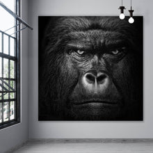 Lade das Bild in den Galerie-Viewer, Aluminiumbild gebürstet Nahaufnahme Gorilla auf schwarzem Hintergrund Quadrat
