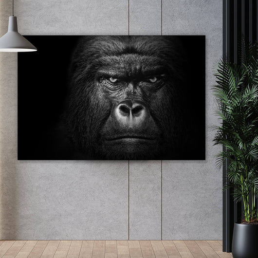 Spannrahmenbild Nahaufnahme Gorilla auf schwarzem Hintergrund Querformat