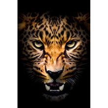 Lade das Bild in den Galerie-Viewer, Acrylglasbild Portrait Leopard auf schwarzem Hintergrund Hochformat
