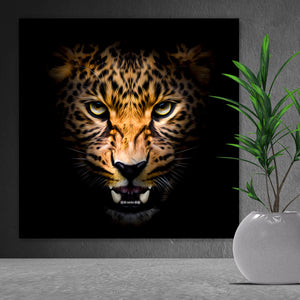 Spannrahmenbild Portrait Leopard auf schwarzem Hintergrund Quadrat