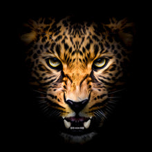 Lade das Bild in den Galerie-Viewer, Poster Portrait Leopard auf schwarzem Hintergrund Quadrat
